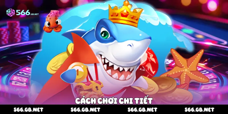 Cách chơi chi tiết