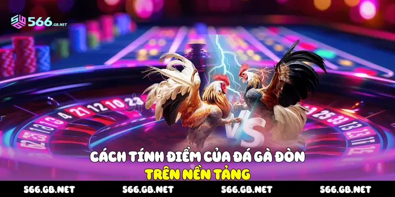 Cách tính điểm của đá gà đòn trên nền tảng