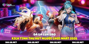 Đá gà cựa dao