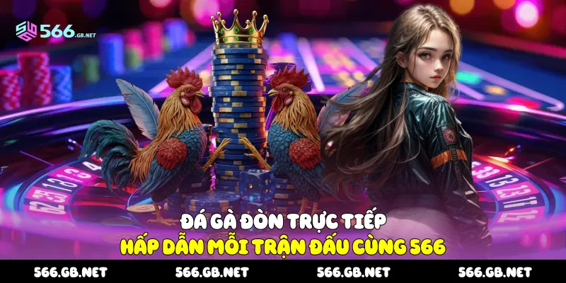 Đá gà đòn trực tiếp