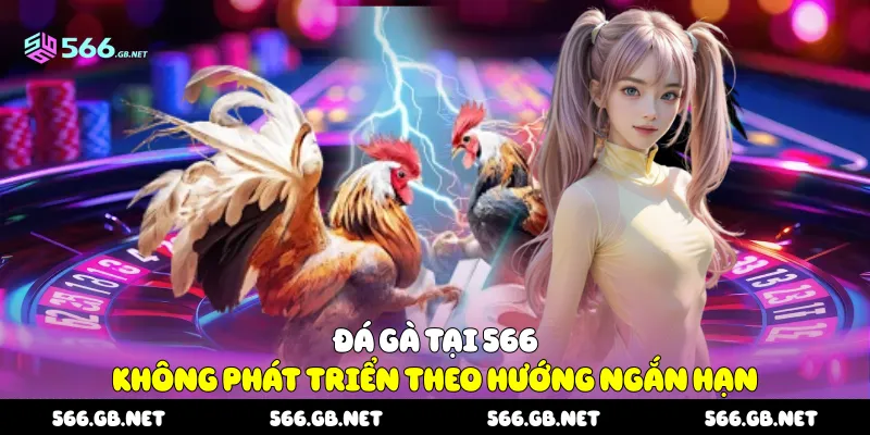 Đá gà tại 566 không phát triển theo hướng ngắn hạn 