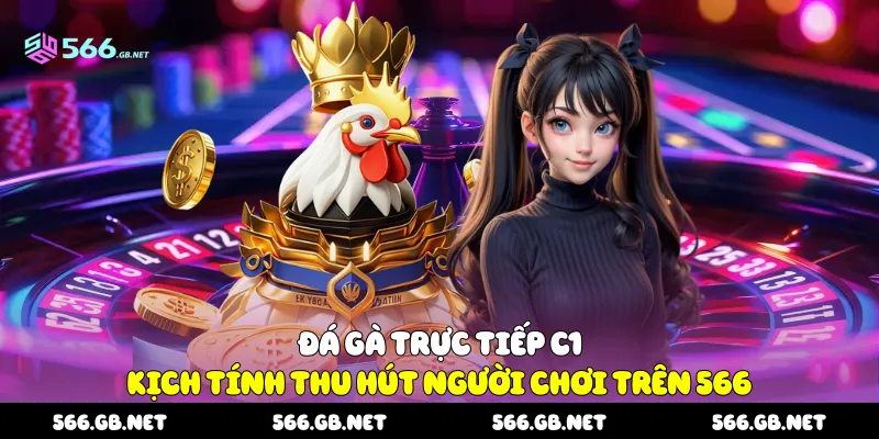 Đá gà trực tiếp C1