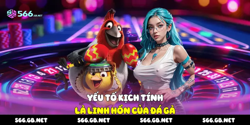 Yếu tố kịch tính là linh hồn của đá gà